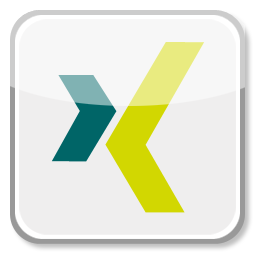 Xing Icon
